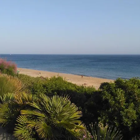 Seashell - * Sesimbra