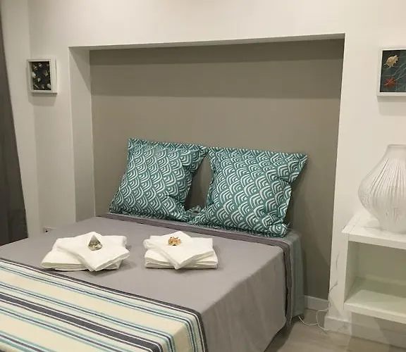 Seashell - 塞辛布拉