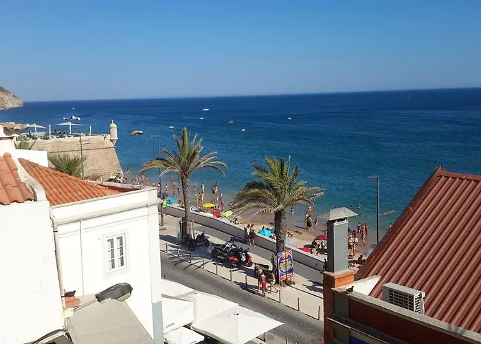 Seashell - * 塞辛布拉