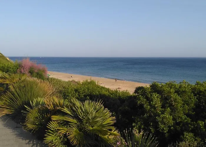 Seashell - * Sesimbra